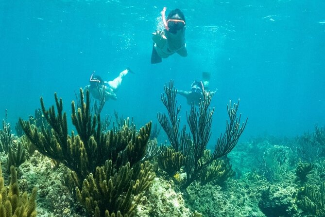 All Day Adventure with a Beach BBQ Feast from Providenciales - Beach BBQ on an uninhabited island: where the day slows down