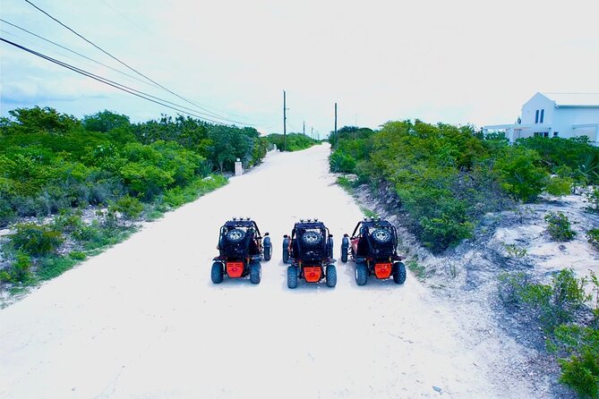 ATV and UTV plus dune buggy Island Excursion in Providenciales - The Driving Portion: Expect Real Island Variety