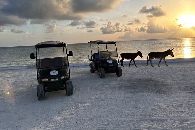 BMC Rentals -Golf Carts & Jeep Wrangler in Grand Turks - Price and value for up to four people