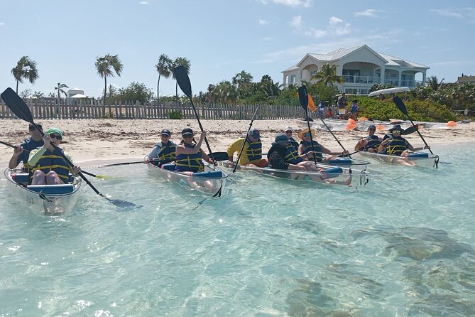 Clear Bottom Kayaks Mangrove Tour - Clear-Bottom Kayaks and the Mangroves of Providenciales