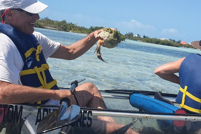 Clear Bottom Kayaks Mangrove Tour - Gear That Keeps You Comfortable: Life Vests, Dry Bags, and Clear Visibility