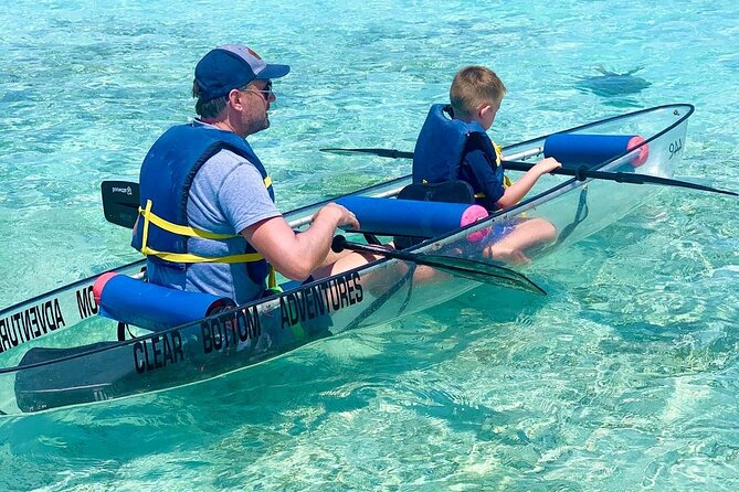 Clear Bottom Kayaks Mangrove Tour - The 2-Hour Format: Family-Friendly, Low-Stress, and Easy to Fit