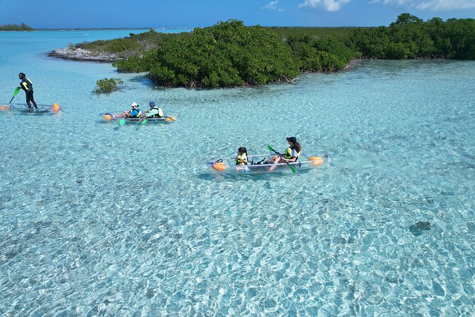 Clear Kayak Eco Tour Explore Mangroves and Meet the Turtles - Who This Tour Fits Best (And Who Might Want Another Option)