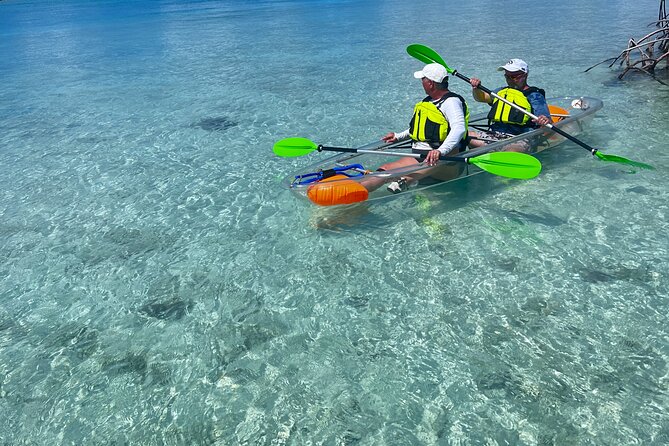 Clear Kayak Eco Tour Explore Mangroves and Meet the Turtles - Should You Book Clear Wave’s Mangrove Eco Tour?