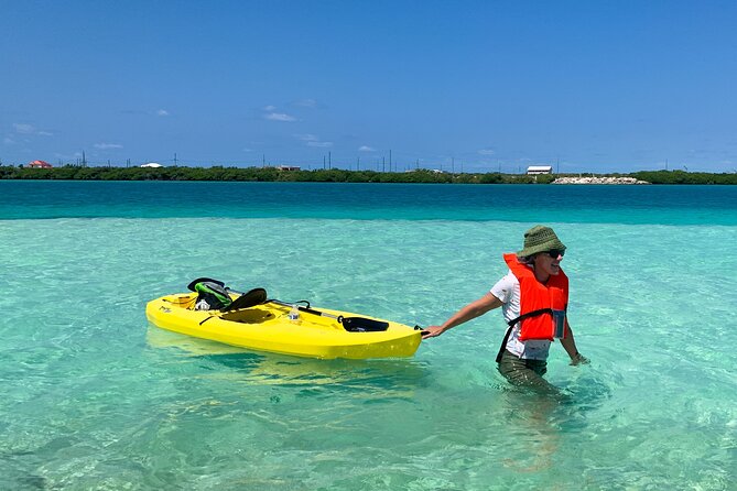 Clear kayak Grand Turk Island Kayak Tour of the mangroves - The clear kayak advantage: two perspectives at once