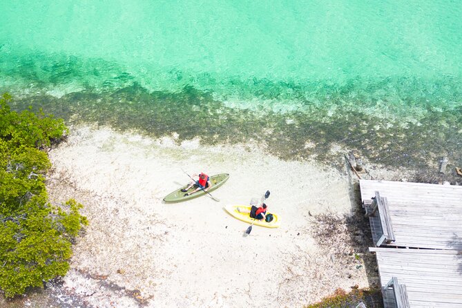 Clear kayak Grand Turk Island Kayak Tour of the mangroves - Taino canoe replica: culture you’ll see in context