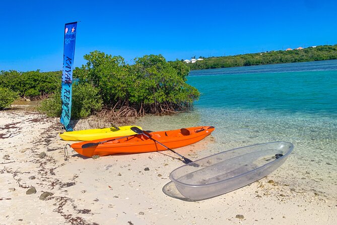 Clear kayak Grand Turk Island Kayak Tour of the mangroves - Pace, timing, and what a private group really changes