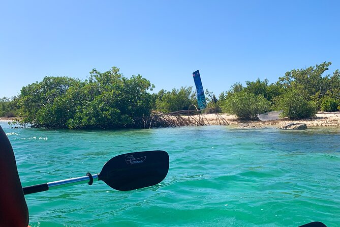 Clear kayak Grand Turk Island Kayak Tour of the mangroves - Price and value: is $100 per person worth it?