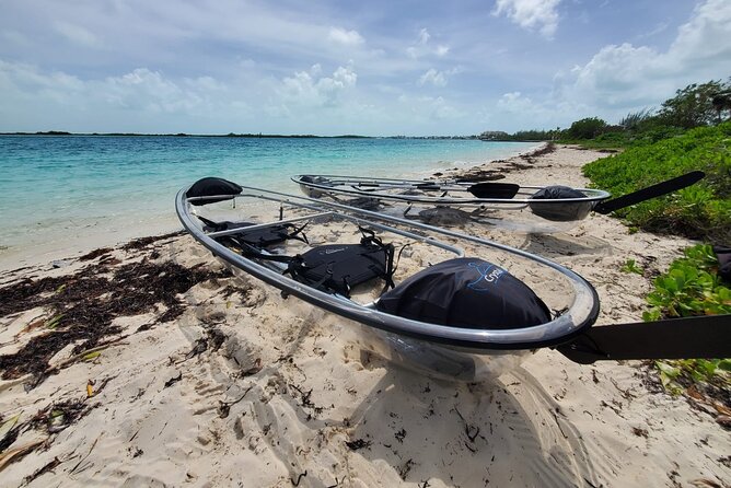 Clear Kayak Mangrove Eco Tour - Key things to know before you go