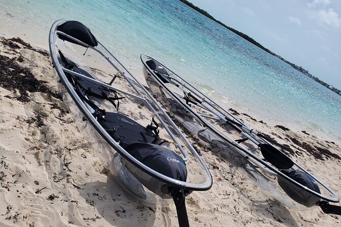 Clear Kayak Mangrove Eco Tour - Little Water Cay and the Rock Iguana Chances