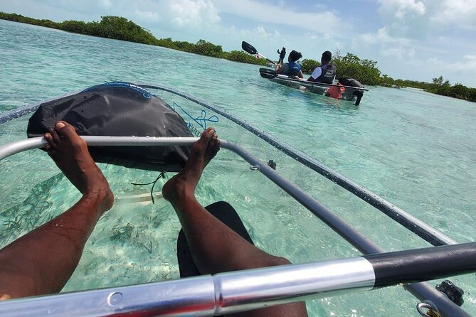 Clear Kayak Mangrove Eco Tour - Price and Value: $240 per Group (Up to 2)