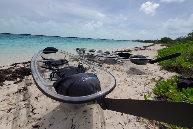 Clear Kayak Mangrove Eco Tour - Weather and Day-Of Reality: When Conditions Matter