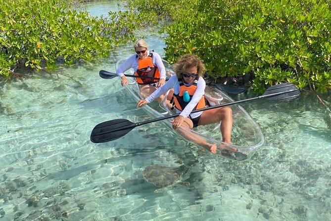 Clear Kayak Tour in Turks & Caicos Islands - Key highlights at a glance