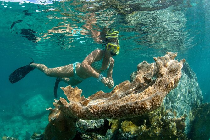 Deluxe Half-Day Snorkel Sail on Lady Grace Luxury Catamaran - Snorkeling gear, guidance, and safety: what you should expect