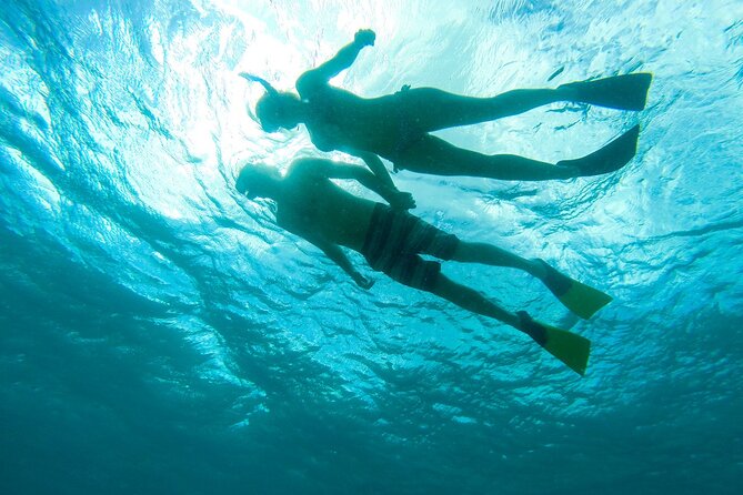 Deluxe Half-Day Snorkel Sail on Lady Grace Luxury Catamaran - Value and group size: what $189 buys you in real life