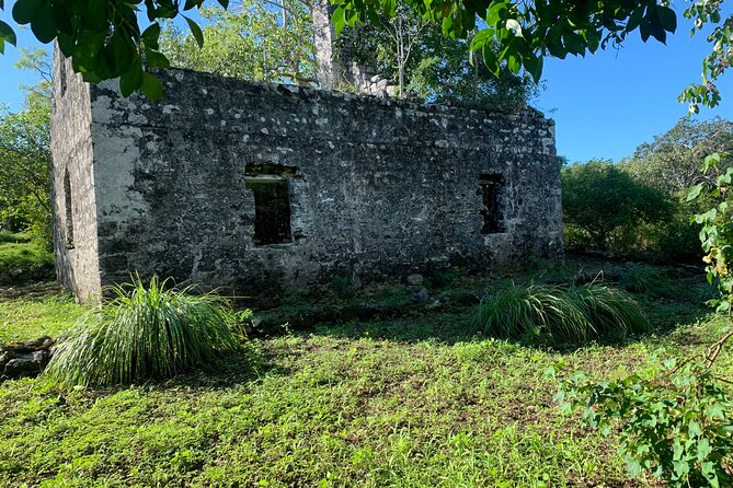 Discovery Tour and Treasure Hunt ( North and Middle Caicos) - Cottage Pond: quick, unique, and geologically interesting