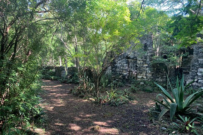 Discovery Tour and Treasure Hunt ( North and Middle Caicos) - Wade’s Green Plantation stop: history plus real island conditions