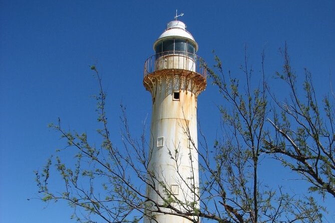 Exclusive Grand Turk Island Tour - Grand Turk Safari: what you’re really buying
