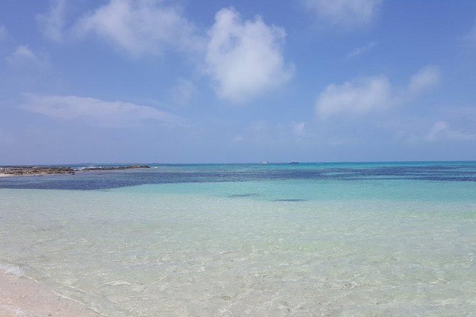 Exclusive Supreme Snorkeling Tour - Conch on Grand Turk: watching, learning, then eating