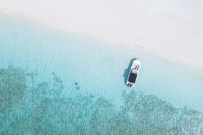 Full day 7hours- beach bbq, snorkel, Iguana island, half moon bay pine cay, Fun! - Crew matters: Captain Jack, Chapa, LB, Lunchbox, Carlee, John, Devon, and Gary