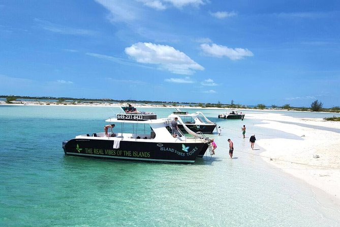 Full Day Beach BBQ Lunch & Snorkeling Excursion in Grace Bay - Little Water Cay (Iguana Island): The Rock Iguana Nature Reserve Stop