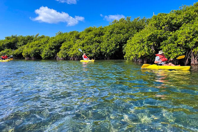 Full Day Clear Kayak Rental Grand Turk - Price and Value for $58 Per Person