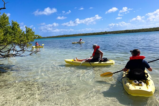 Full Day Clear Kayak Rental Grand Turk - The North Creek Plan: Why the Route Feels Different