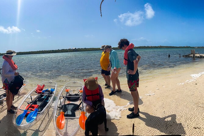 Full Day Clear Kayak Rental Grand Turk - Mangroves: The Difference Between Renting and Getting There