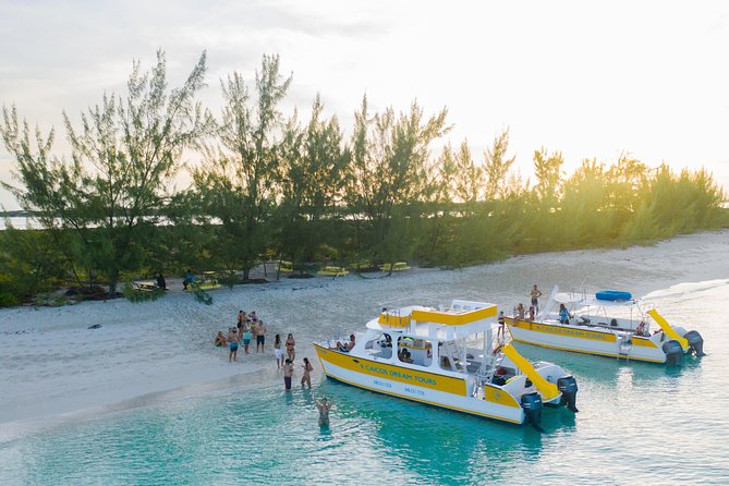 Full Day Cruise from Providenciales with Snorkeling and BBQ Lunch - Shell Island sand dollars and beach-combing time