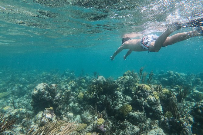 Full Day Cruise from Providenciales with Snorkeling and BBQ Lunch - The crew and what good guidance feels like