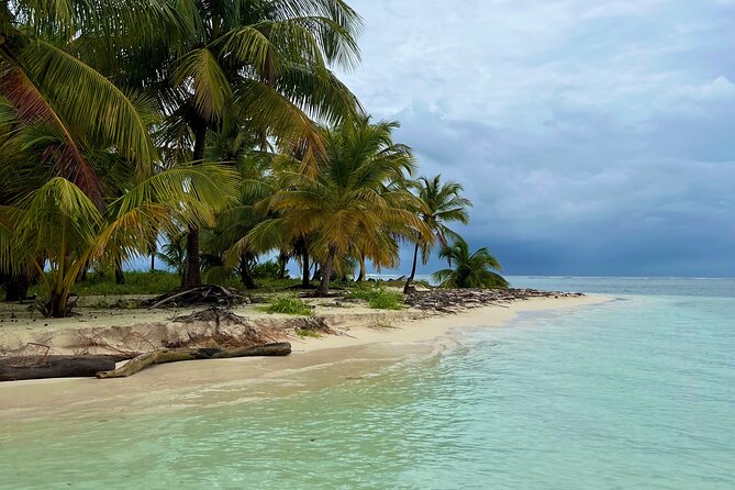 Full-Day Private Catamaran, Turks and Caicos Cruise - Water Cay and Half Moon Bay: sandbars, slow pacing, and open water views