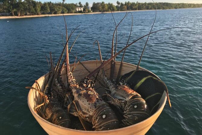 Full-Day Private Catamaran, Turks and Caicos Cruise - Paddle ride time and getting in the water beyond snorkeling