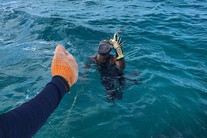 Full-Day Private Cruise in Turks and Caicos with Lunch - Dellis Cay for two hours: swimming and snorkel time that doesn’t feel rushed