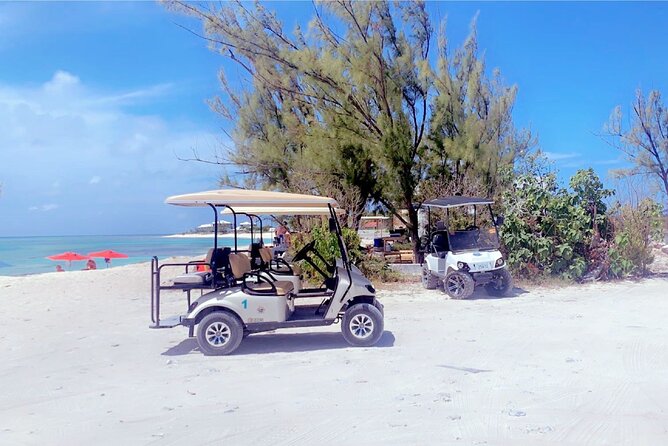 Fun day at Private Beach Bar&Grill/Grand Turk - Stop 3: Horseback riding on sand or water—fun, but respect the basics