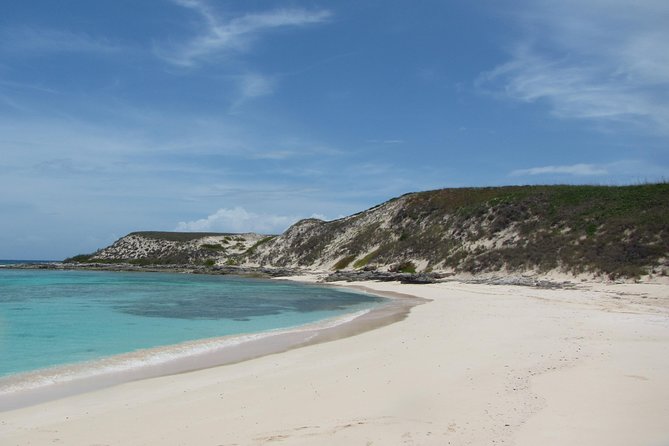 Gibbs Cay Stingray and Conch Dive Adventure - Key Points Before You Go