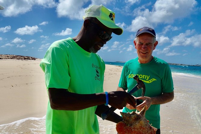 Gibbs Cay Stingray and Conch Dive Adventure - The Conch Portion: Watching the Crew Find It and Make It Real