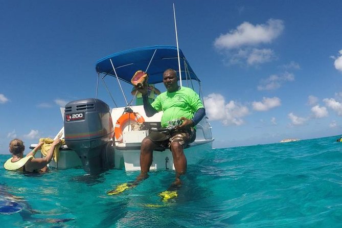 Gibbs Cay Stingray and Conch Dive Adventure - Where Snorkeling Fits In: Reef Time and Fish-Spotting