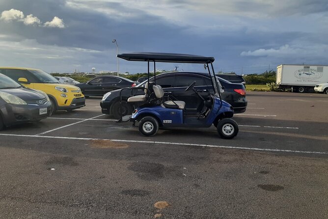 Golf Cart Adventure MaxKart Auto Rentals - Reliability and Backup: What Happens If Your Cart Has Problems
