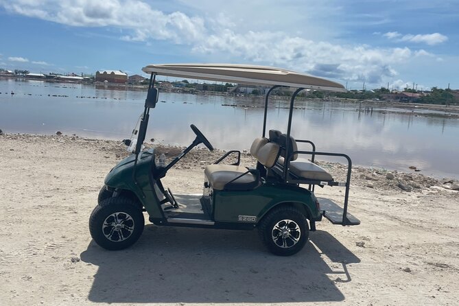 Grand Turk Golf Cart Rentals (CACTUS CARTS) - Price and cart sizes: getting value from the $120 day rental