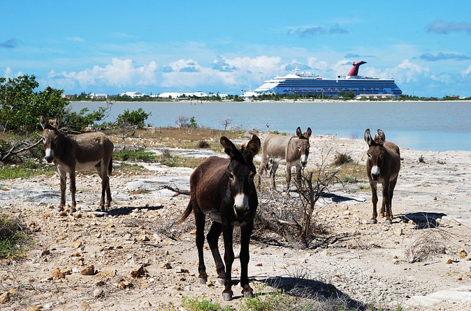 Grand Turk Historical Sightseeing Tour by Tram - Entering Grand Turk fast: why the tram route works