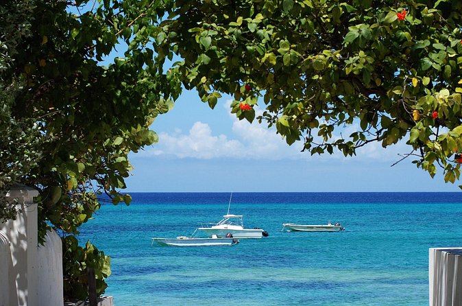 Grand Turk Historical Sightseeing Tour by Tram - Getting there from the cruise terminal without losing time