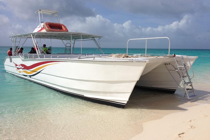 Grand Turk: Whale Watching - The Boat and Why the Fly-Bridge Helps You See More