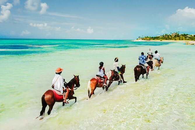 Group Beach and Ocean Horseback Adventure in Providenciales - Key things that make this ride worth your time