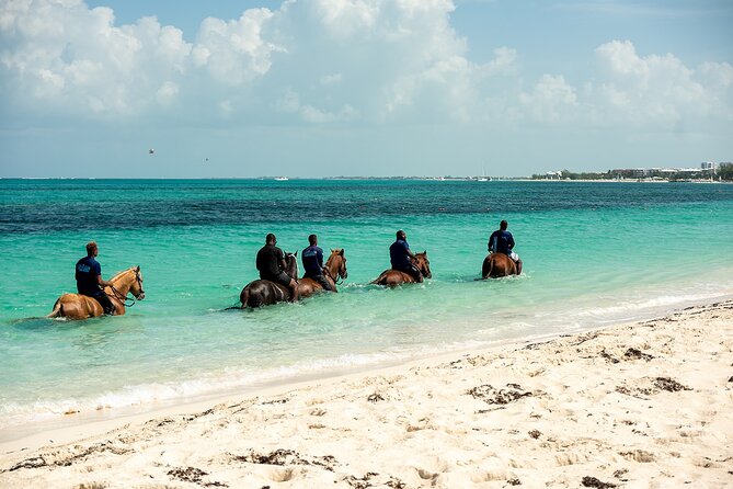 Group Beach and Ocean Horseback Adventure in Providenciales - Ocean Horseback on Providenciales: What Makes This Different