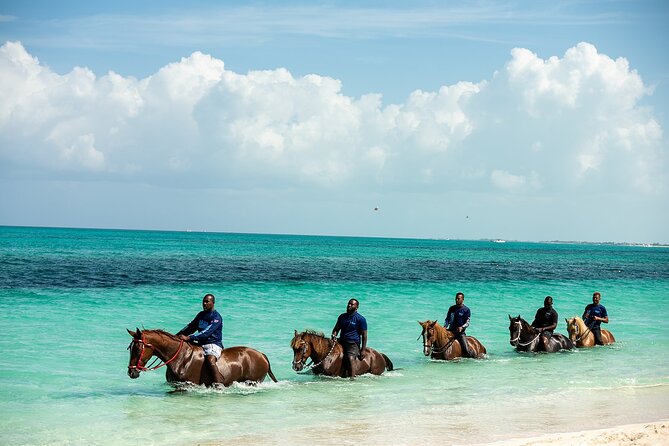 Group Beach and Ocean Horseback Adventure in Providenciales - Safety and Support in a Small Group (and Why That Matters in the Water)