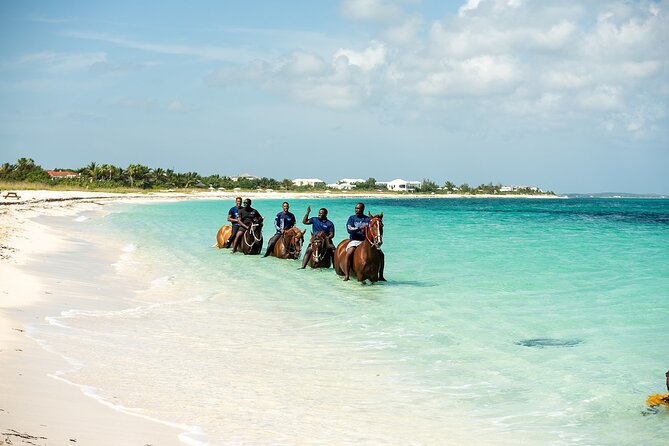 Group Beach and Ocean Horseback Adventure in Providenciales - What’s Included (and What You Should Bring) for a Smooth Ride