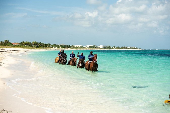 Group Beach and Ocean Horseback Adventure in Providenciales - Price and Value: Is $254 Reasonable for an Ocean Ride?