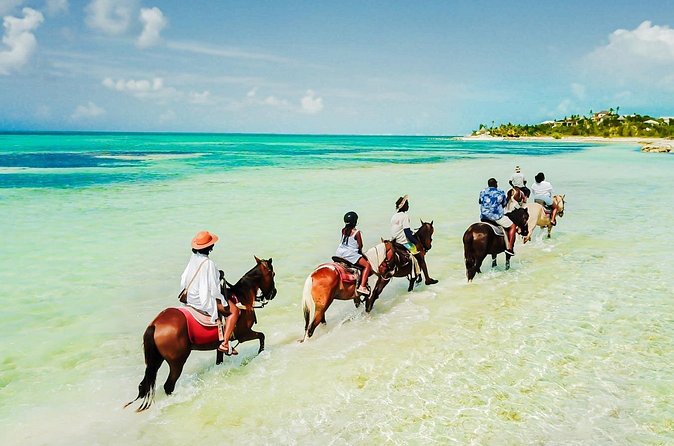 Group Beach and Ocean Horseback Adventure in Providenciales - Fitness, Age, and the 220-Lb Limit