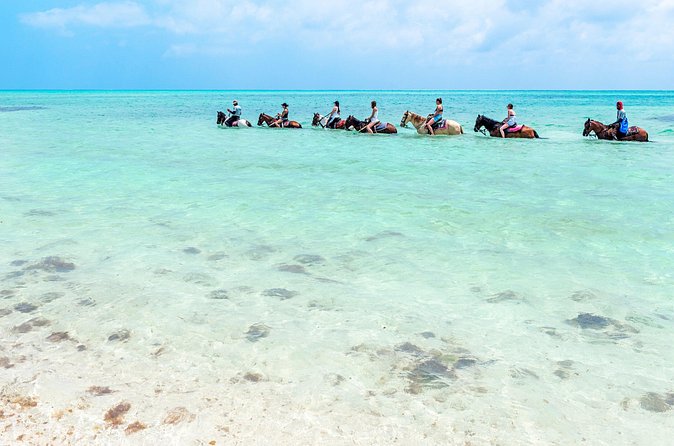 Group Beach and Ocean Horseback Adventure in Providenciales - Who This Tour Is Best For (and Who Might Skip It)