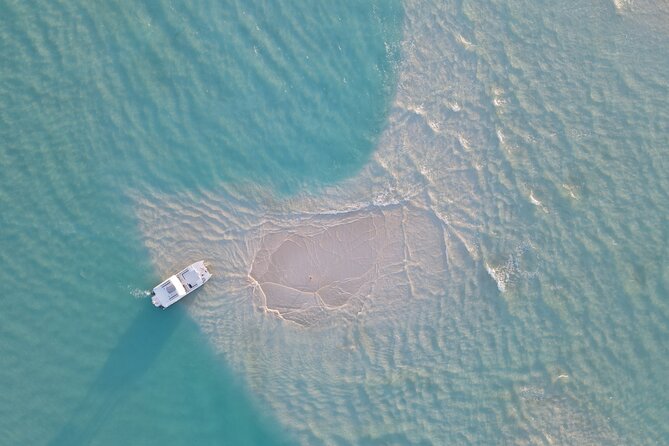 Group Reef, Beach and Sandbar Tour from Providenciales - Key highlights to know before you go
